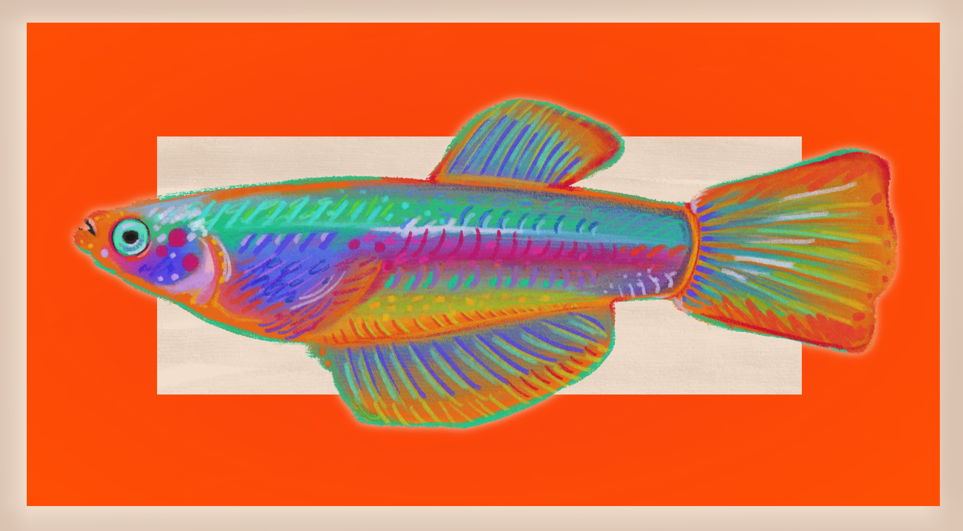 Mar. '26<br>fish<br>fish warm up. Studying funky ways to color.